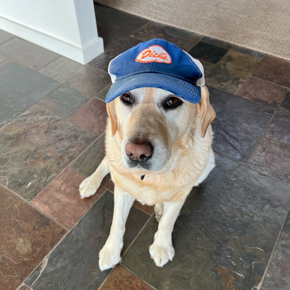 Meet your Posher, Alexa